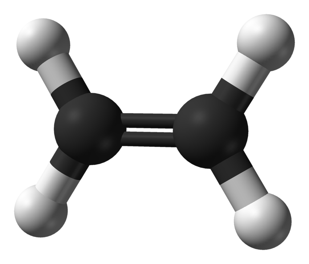 ethylene detection sensor